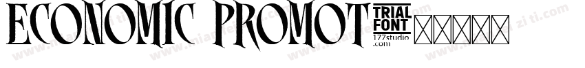 ECONOMIC PROMOT字体转换